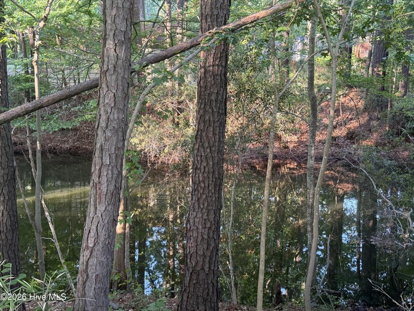 Located within a private, established community, the lot - photo 7