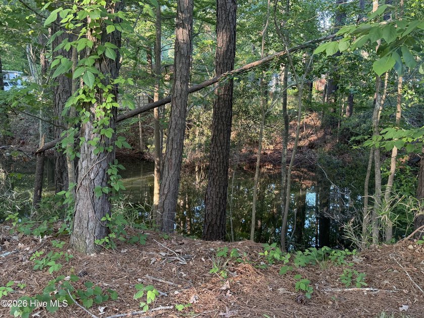 Located within a private, established community, the lot - photo 8