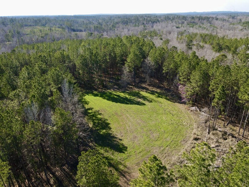 This level of diverse hunting and timber investment rarely hits - photo 6