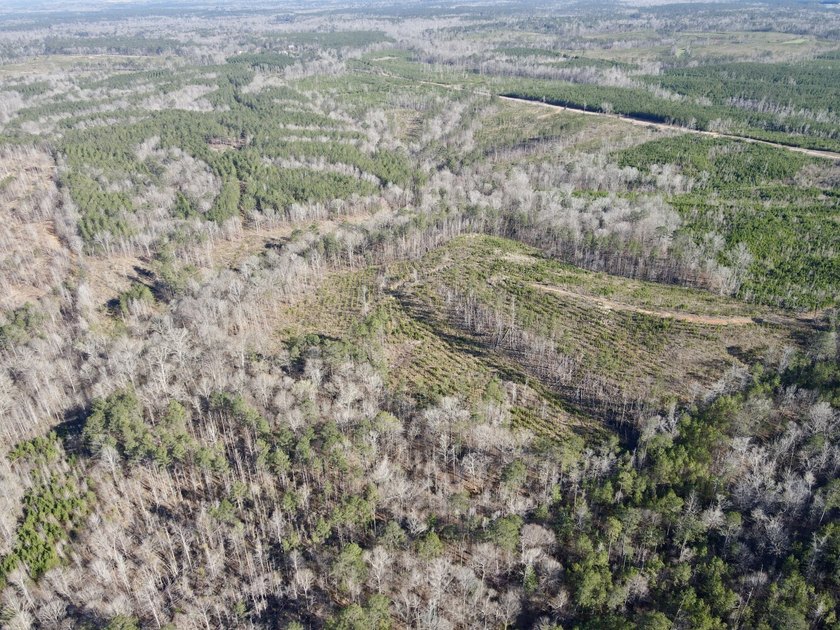 This level of diverse hunting and timber investment rarely hits - photo 7