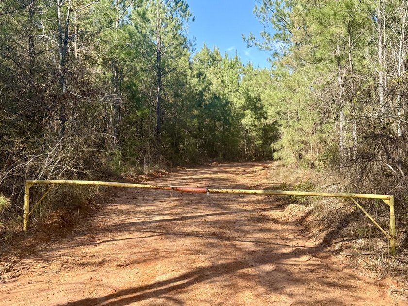 This level of diverse hunting and timber investment rarely hits - photo 10