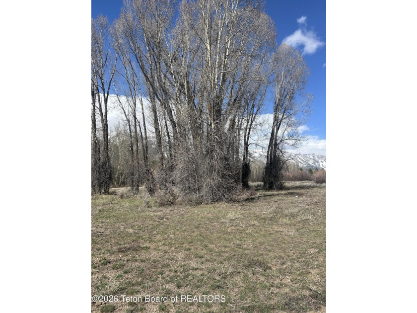 Set on 5 pristine acres in Jackson Hole, WY 83001 this - photo 27