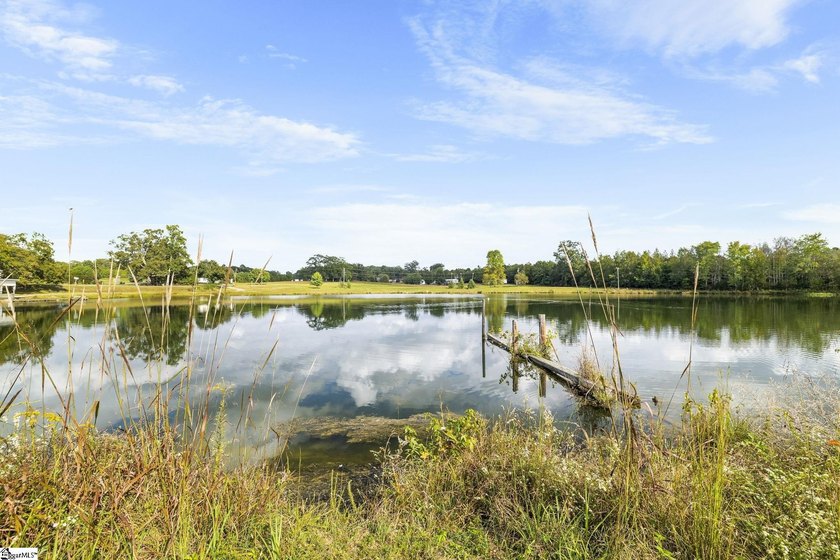 Rare opportunity to own 17 acres of unrestricted land designed - photo 36