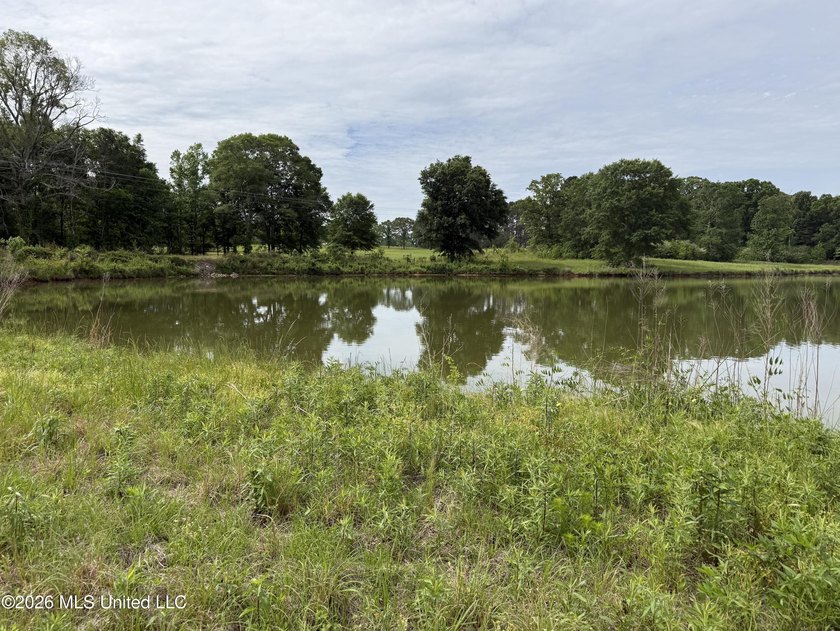 100.18+/- acres in Lawrence County, MS in the Jayess community - photo 11