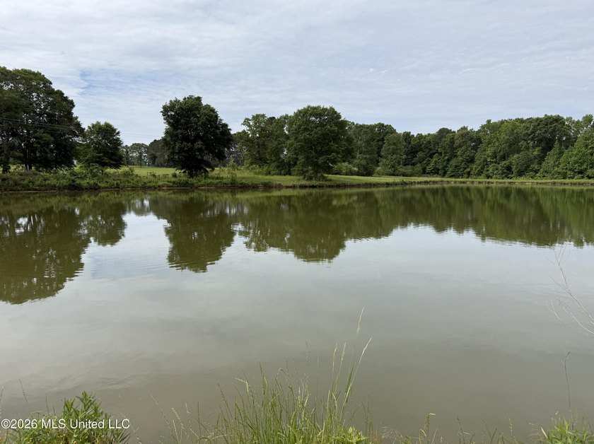 100.18+/- acres in Lawrence County, MS in the Jayess community - photo 12