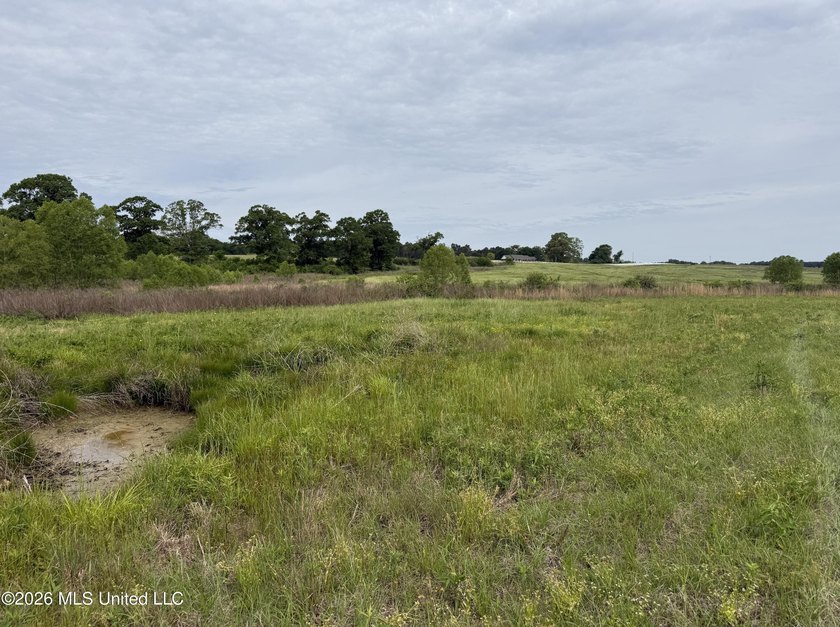 100.18+/- acres in Lawrence County, MS in the Jayess community - photo 13