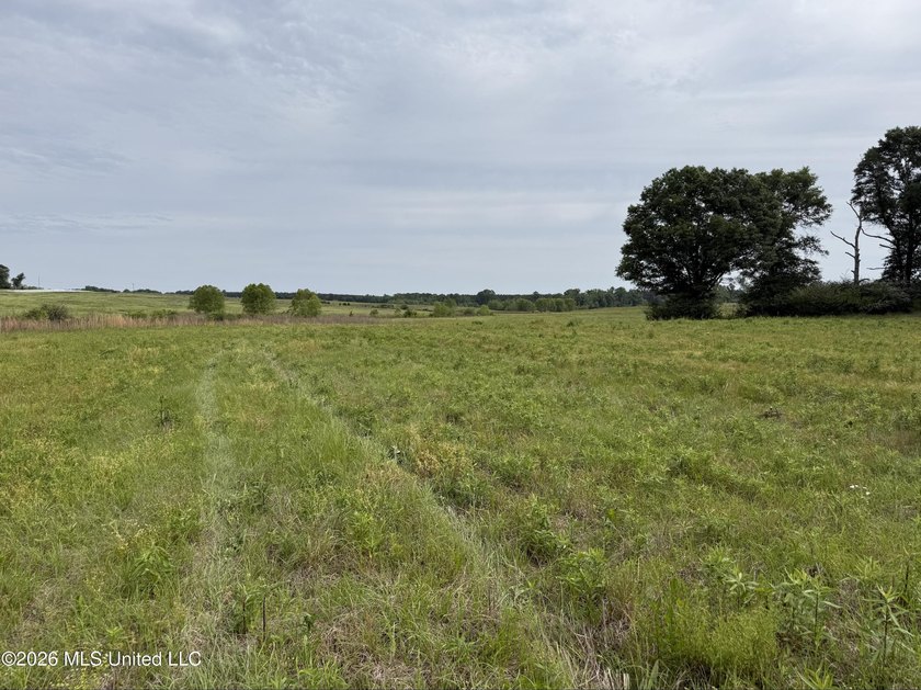 100.18+/- acres in Lawrence County, MS in the Jayess community - photo 16