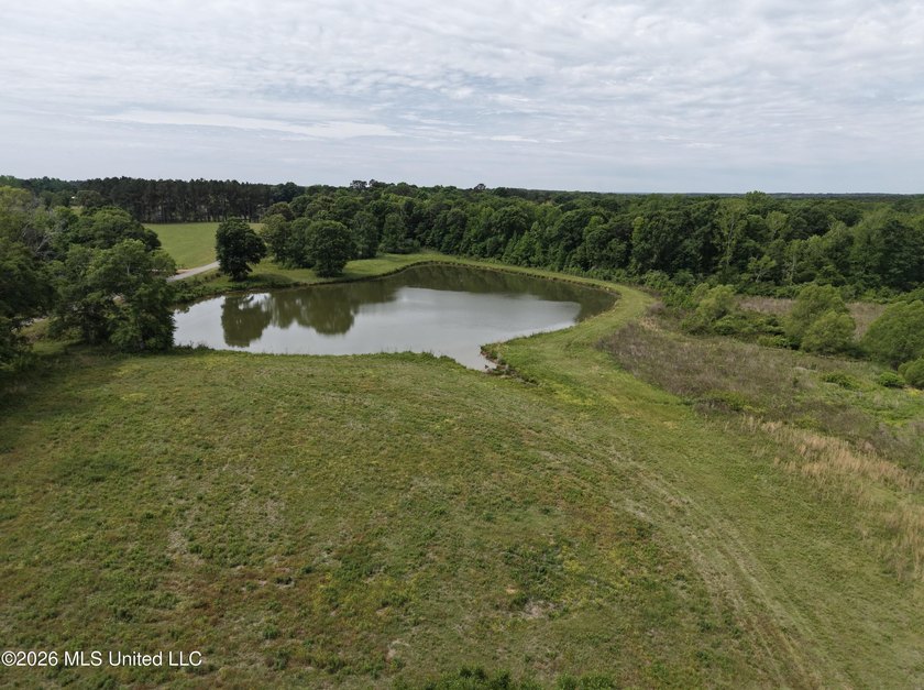 100.18+/- acres in Lawrence County, MS in the Jayess community - photo 18