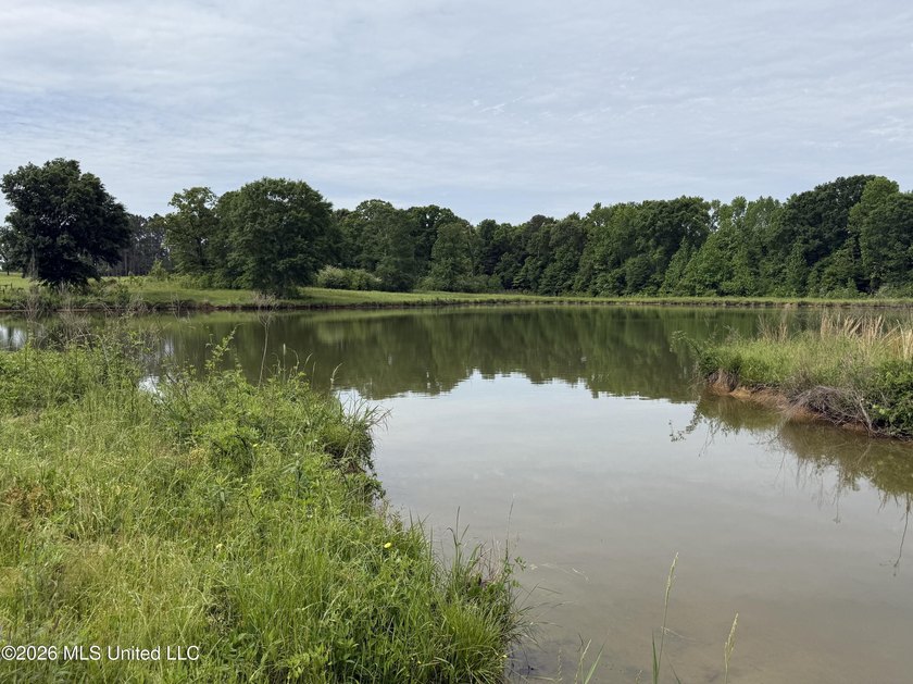 100.18+/- acres in Lawrence County, MS in the Jayess community - photo 19
