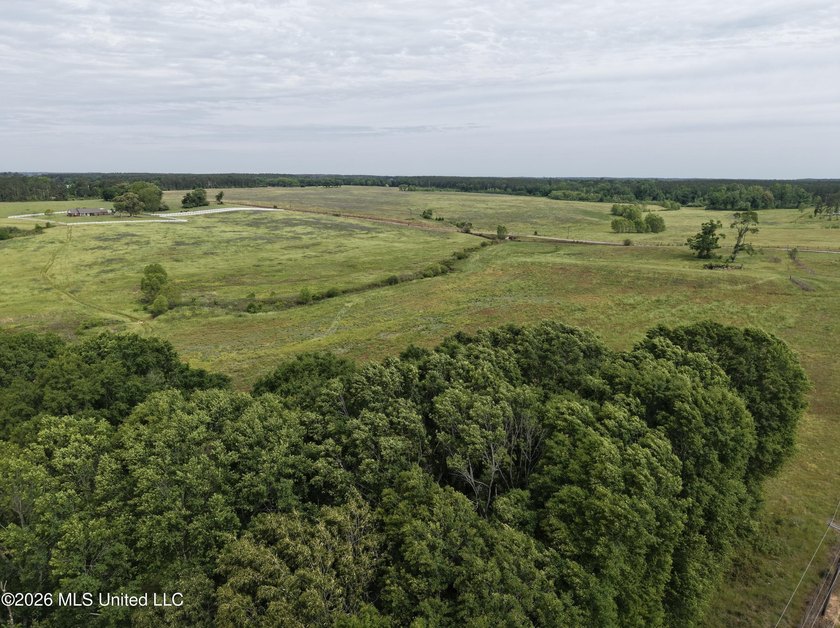 100.18+/- acres in Lawrence County, MS in the Jayess community - photo 23