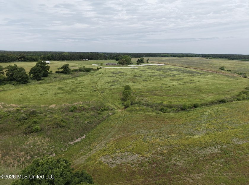 100.18+/- acres in Lawrence County, MS in the Jayess community - photo 24