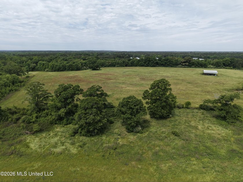 100.18+/- acres in Lawrence County, MS in the Jayess community - photo 25