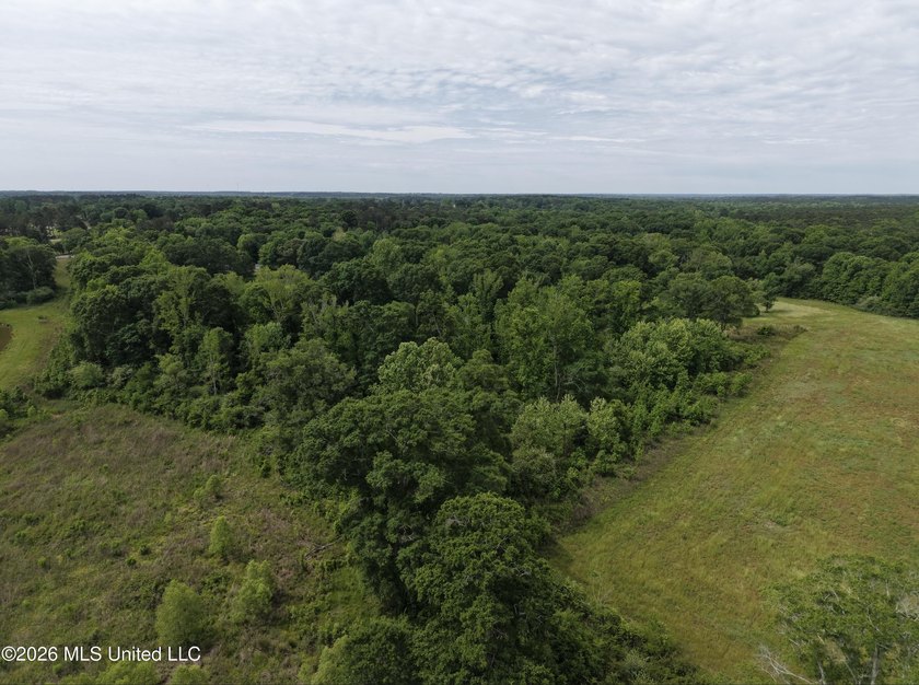 100.18+/- acres in Lawrence County, MS in the Jayess community - photo 26