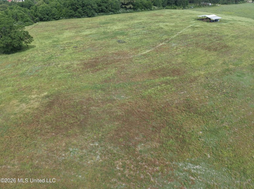 100.18+/- acres in Lawrence County, MS in the Jayess community - photo 28