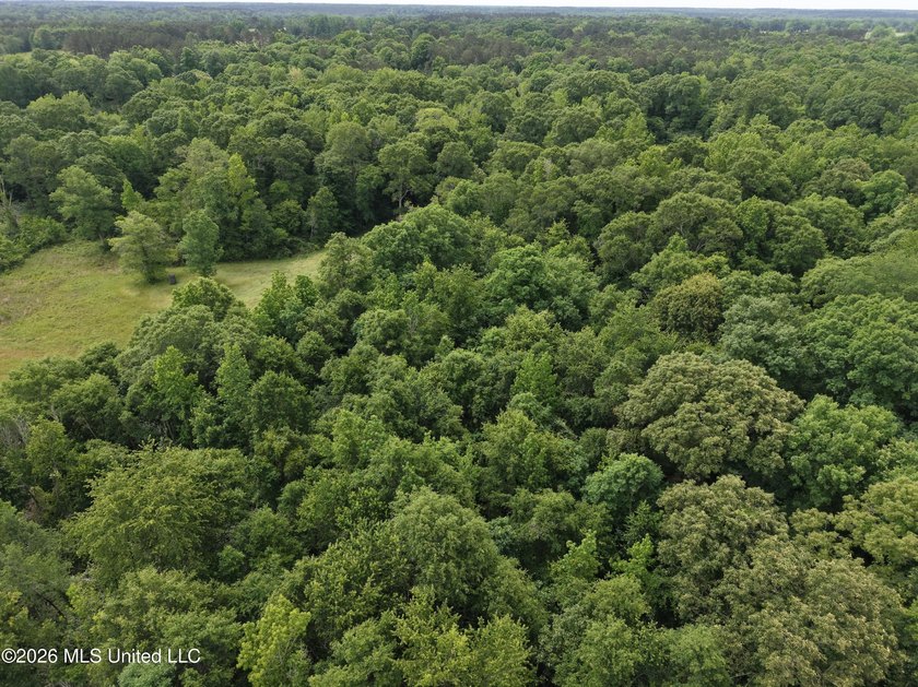 100.18+/- acres in Lawrence County, MS in the Jayess community - photo 29