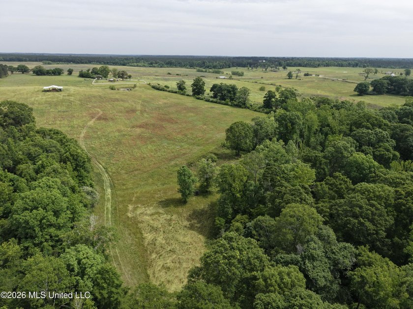 100.18+/- acres in Lawrence County, MS in the Jayess community - photo 36