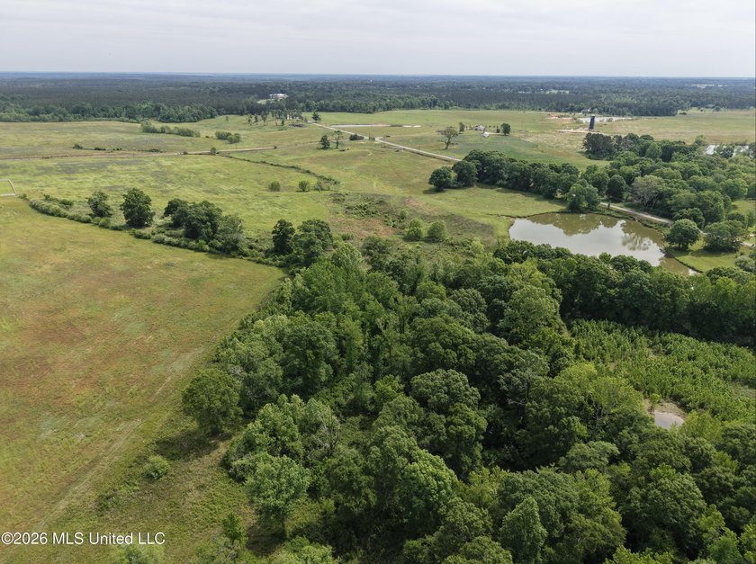 100.18+/- acres in Lawrence County, MS in the Jayess community - photo 38