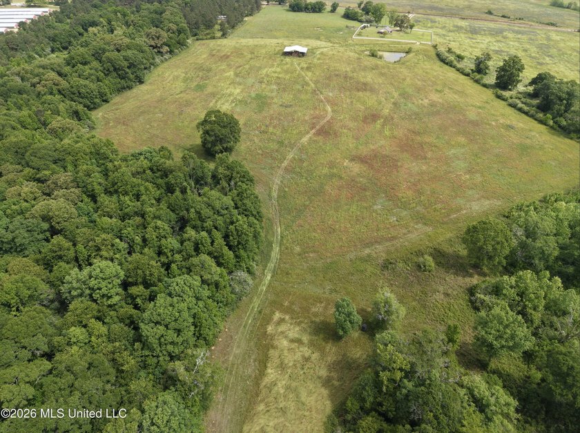 100.18+/- acres in Lawrence County, MS in the Jayess community - photo 39