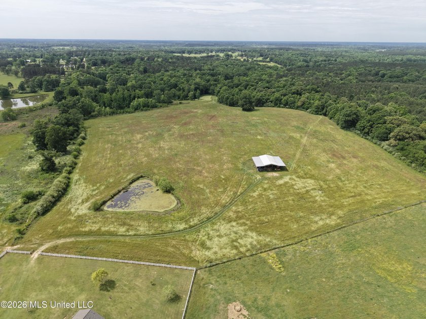 100.18+/- acres in Lawrence County, MS in the Jayess community - photo 40