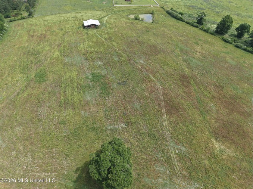 100.18+/- acres in Lawrence County, MS in the Jayess community - photo 44