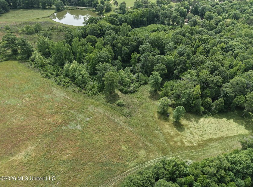 100.18+/- acres in Lawrence County, MS in the Jayess community - photo 45