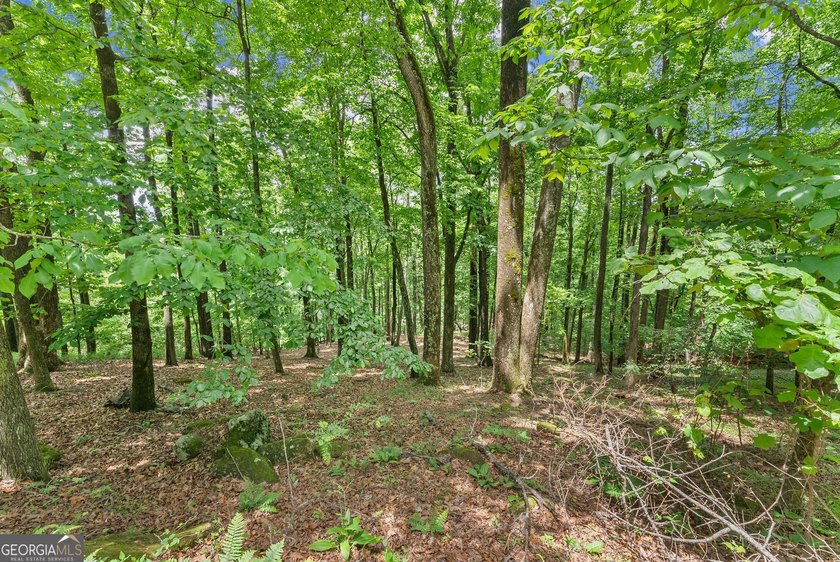 What a view!?!?! Are you looking for the perfect place to build - photo 4