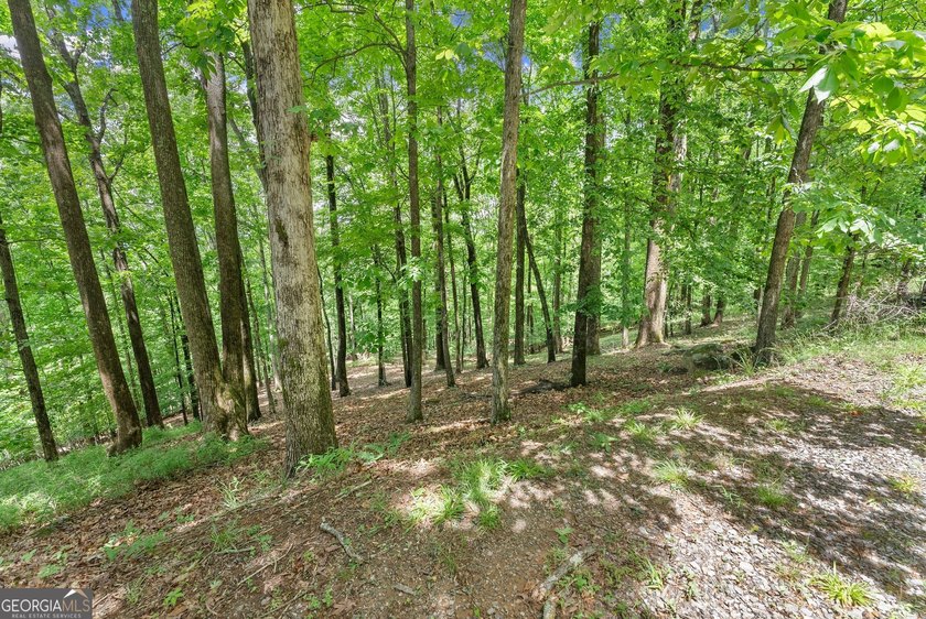 What a view!?!?! Are you looking for the perfect place to build - photo 5