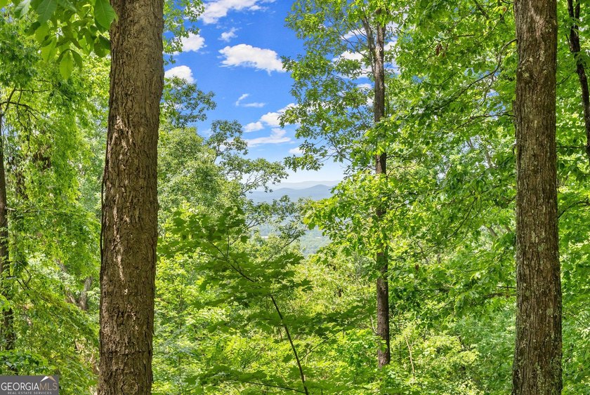 What a view!?!?! Are you looking for the perfect place to build - photo 8