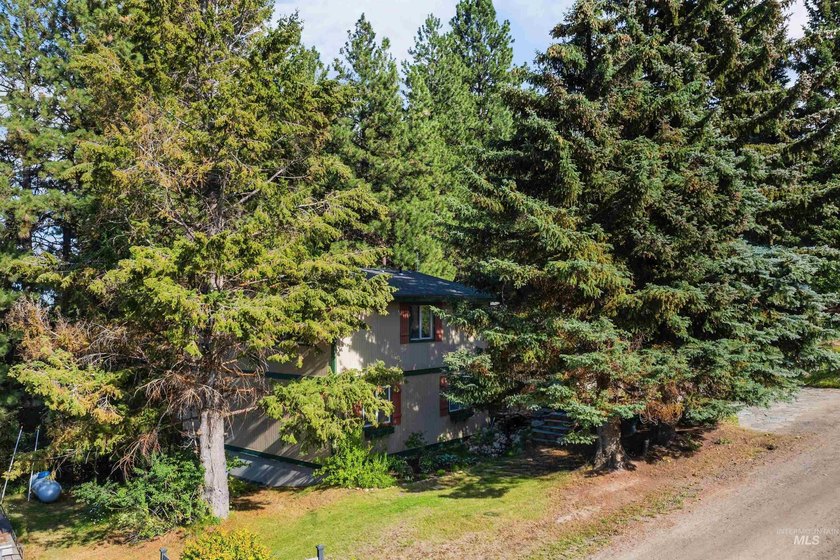 Just one block from shimmering Lake Cascade and the Cascade Golf - photo 44