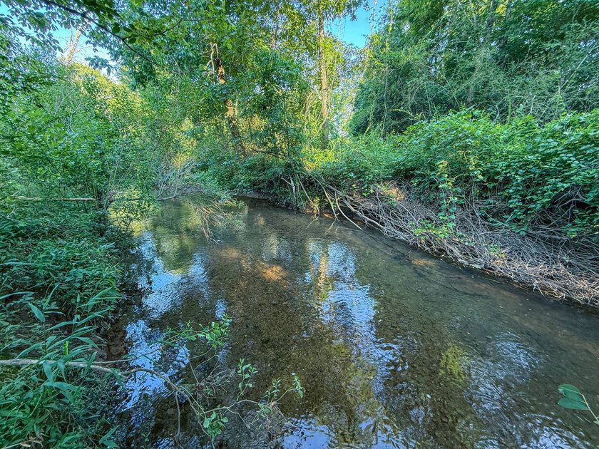 Located just south of Lincoln in Talladega County, Alabama, this - photo 33