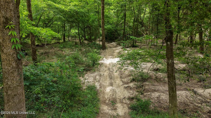 Discover your own private retreat on 23 breathtaking wooded - photo 38