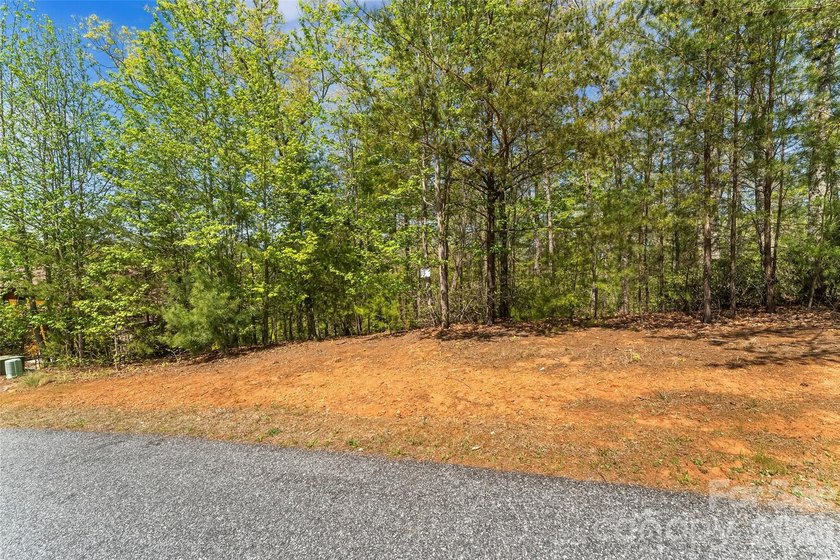 Gently sloping interior lot with winter and possible year round - photo 7