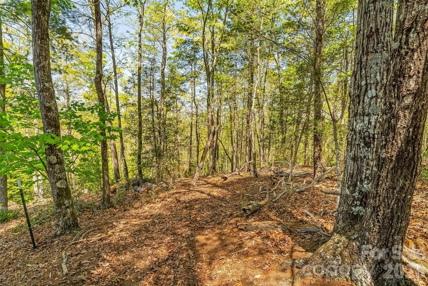 Gently sloping interior lot with winter and possible year round - photo 9