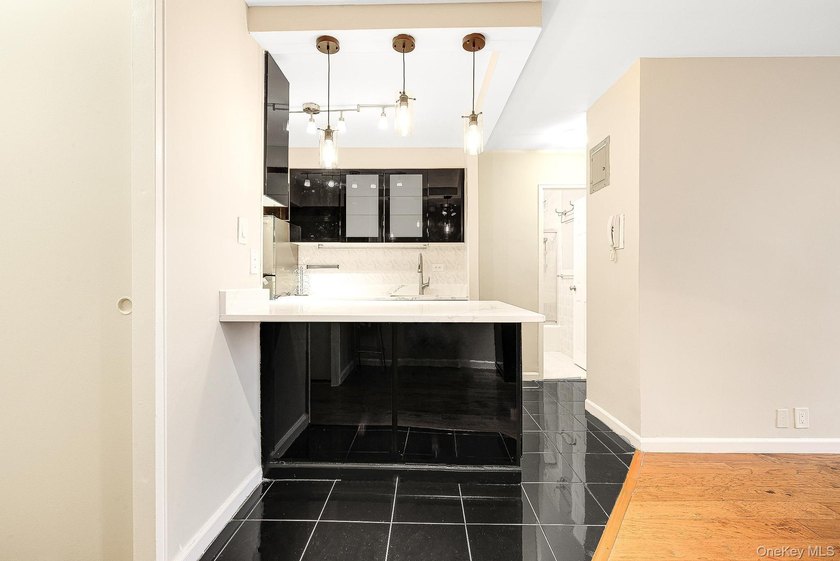 Welcome to this beautifull Full one bedroom facing South, with - photo 7