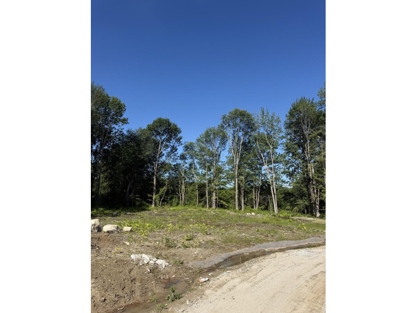 Discover a rare opportunity to build your dream home in one of - photo 3