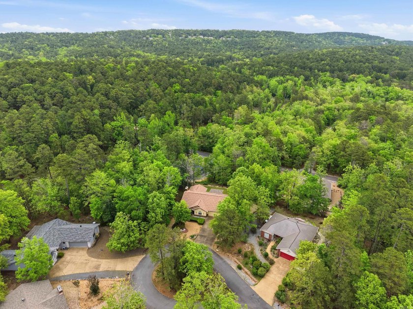 Tucked away at the end of a quiet cul-de-sac, this home includes - photo 23