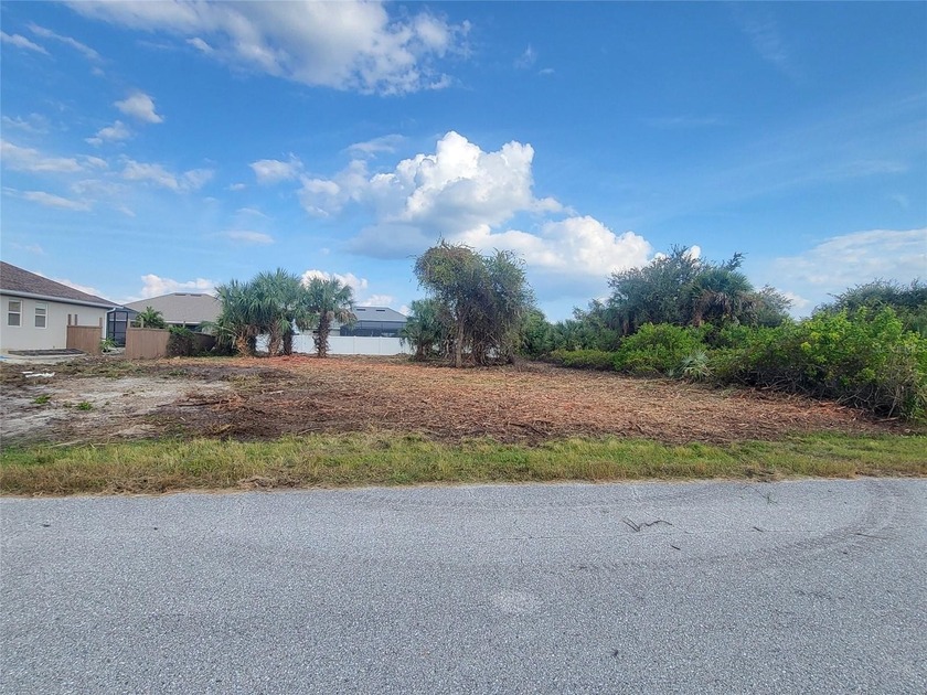 Don't miss this opportunity to own a residential lot in Port - photo 3