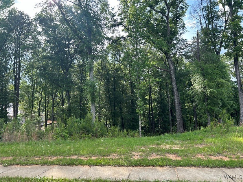 Build your next home on the quiet water's edge in Edgewater - photo 3