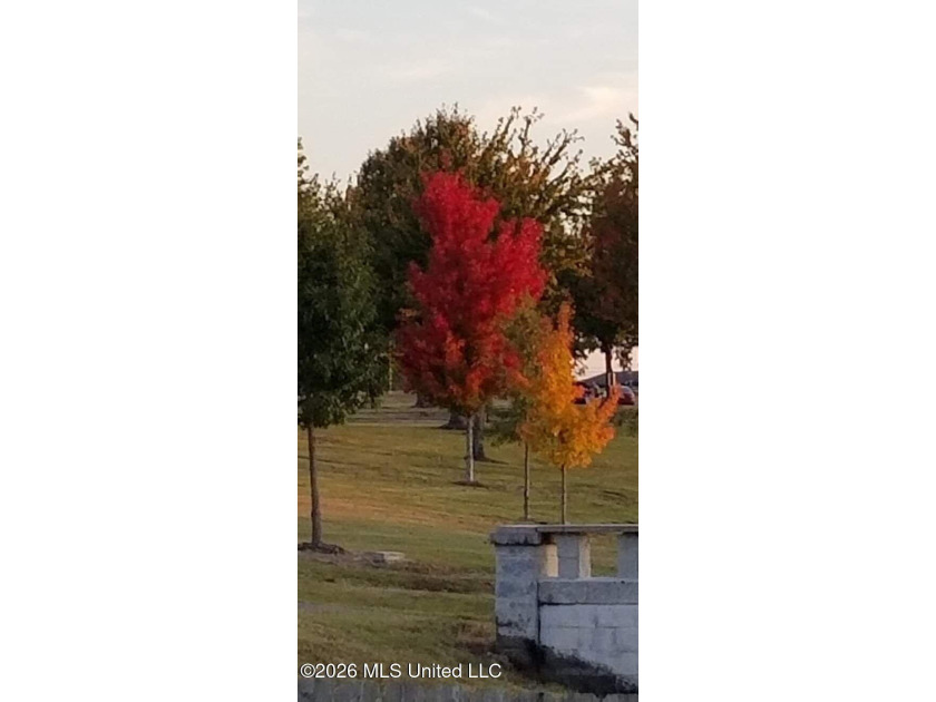 Located with beautiful views all around! The Oaks of Parkview - photo 40