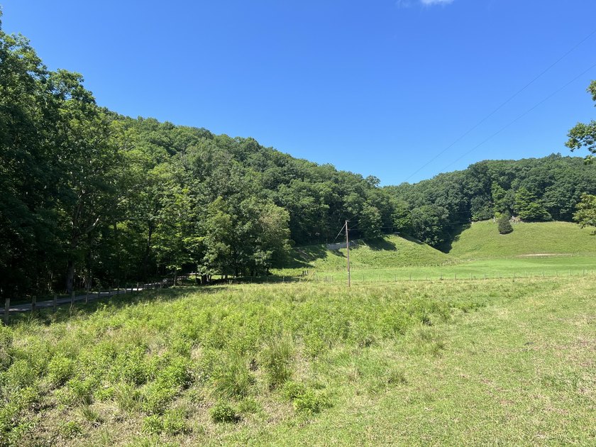 Welcome to the country! This beautiful well-maintained farm has - photo 25