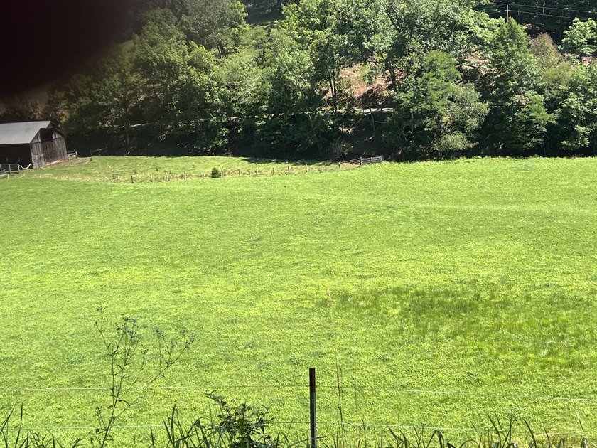 Welcome to the country! This beautiful well-maintained farm has - photo 45