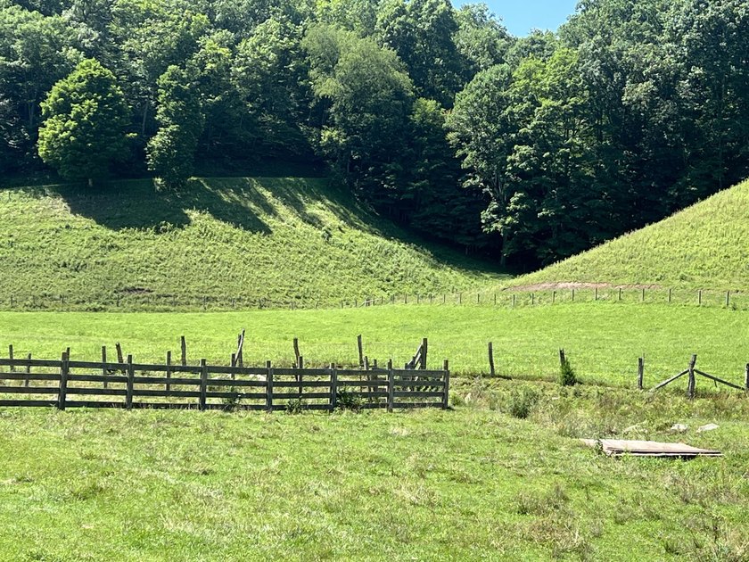Welcome to the country! This beautiful well-maintained farm has - photo 46