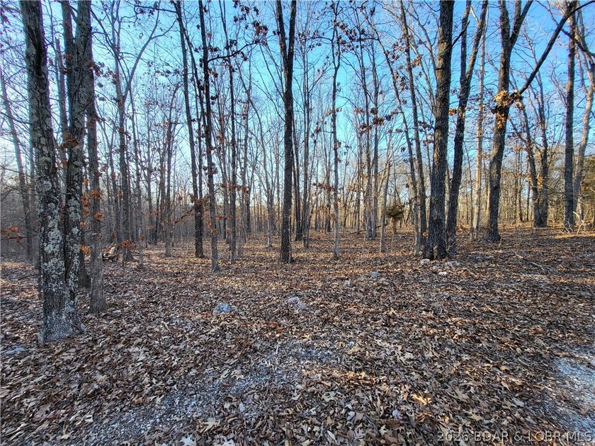 Enjoy the peace and privacy of this beautiful 12-acre wooded - photo 12