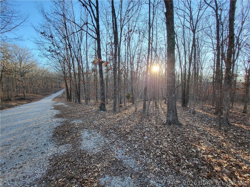 Enjoy the peace and privacy of this beautiful 12-acre wooded - photo 13