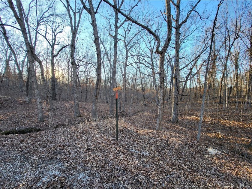 Enjoy the peace and privacy of this beautiful 12-acre wooded - photo 16