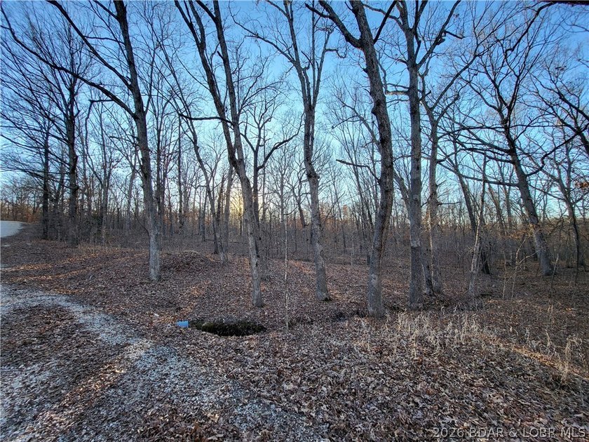 Enjoy the peace and privacy of this beautiful 12-acre wooded - photo 17