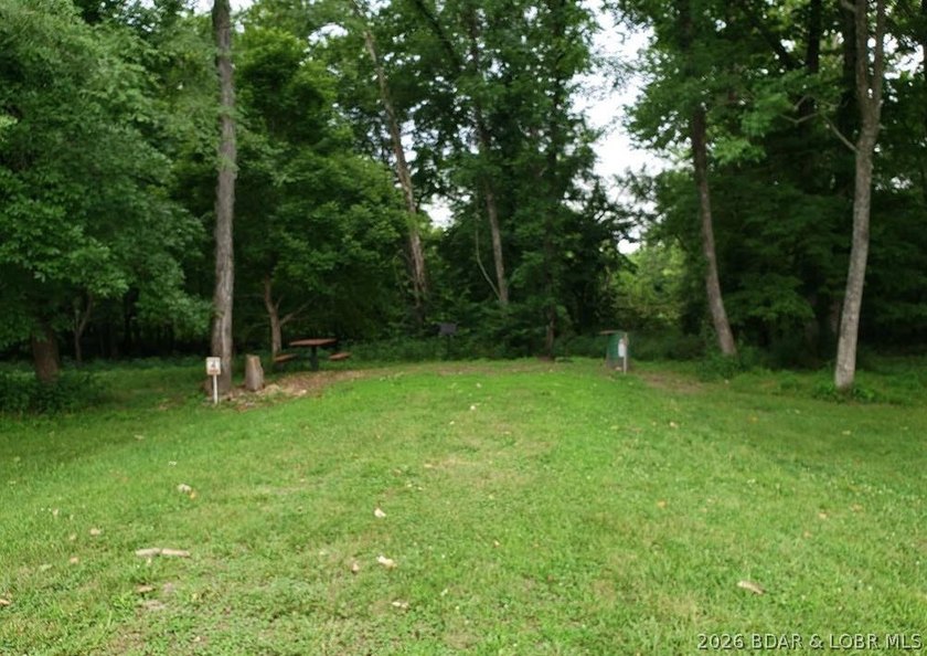 Enjoy the peace and privacy of this beautiful 12-acre wooded - photo 19