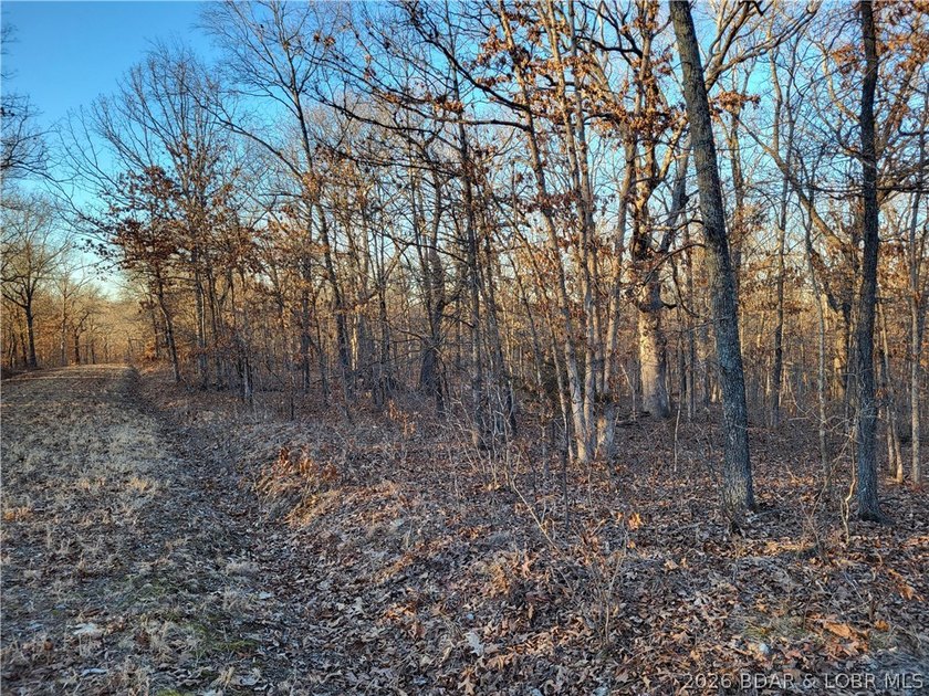 Enjoy the peace and privacy of this beautiful 12-acre wooded - photo 20