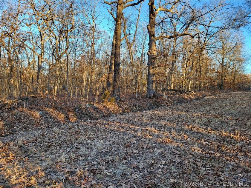 Enjoy the peace and privacy of this beautiful 12-acre wooded - photo 28