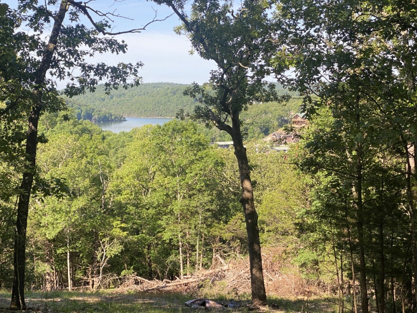 , Theodosia, MO 65761, 2981690